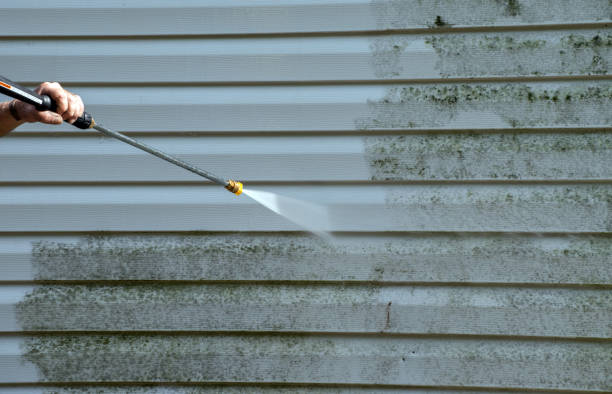 Animal Enclosure Cleaning in Masury, OH